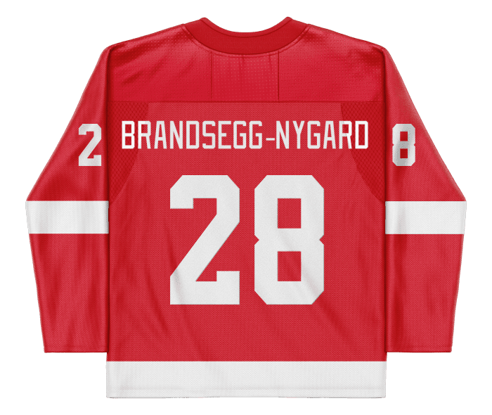 Michael Brandsegg-Nygård