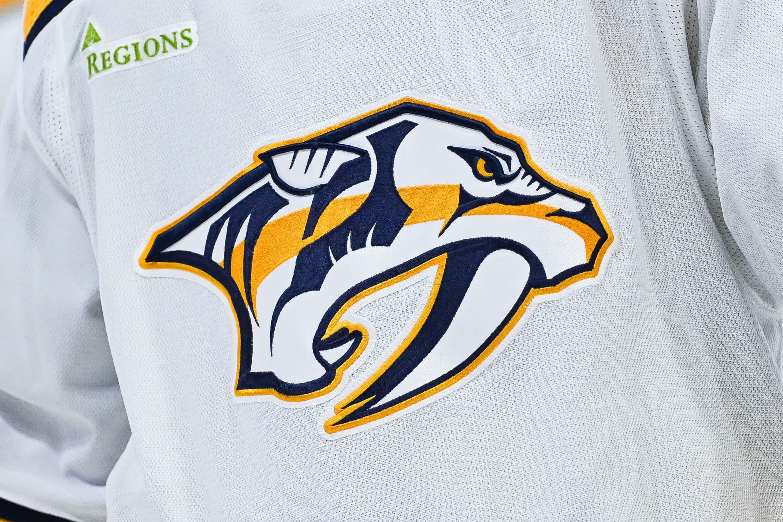 Report: Predators end contract with CAA following NHLPA review