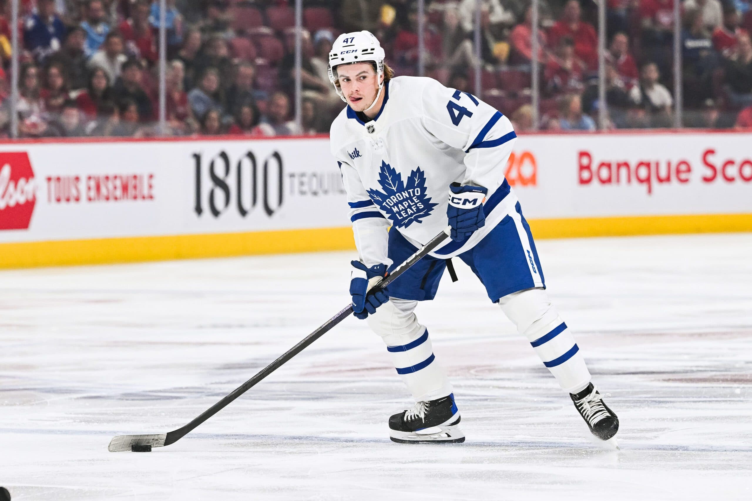 Toronto Maple Leafs defenseman Topi NIemela