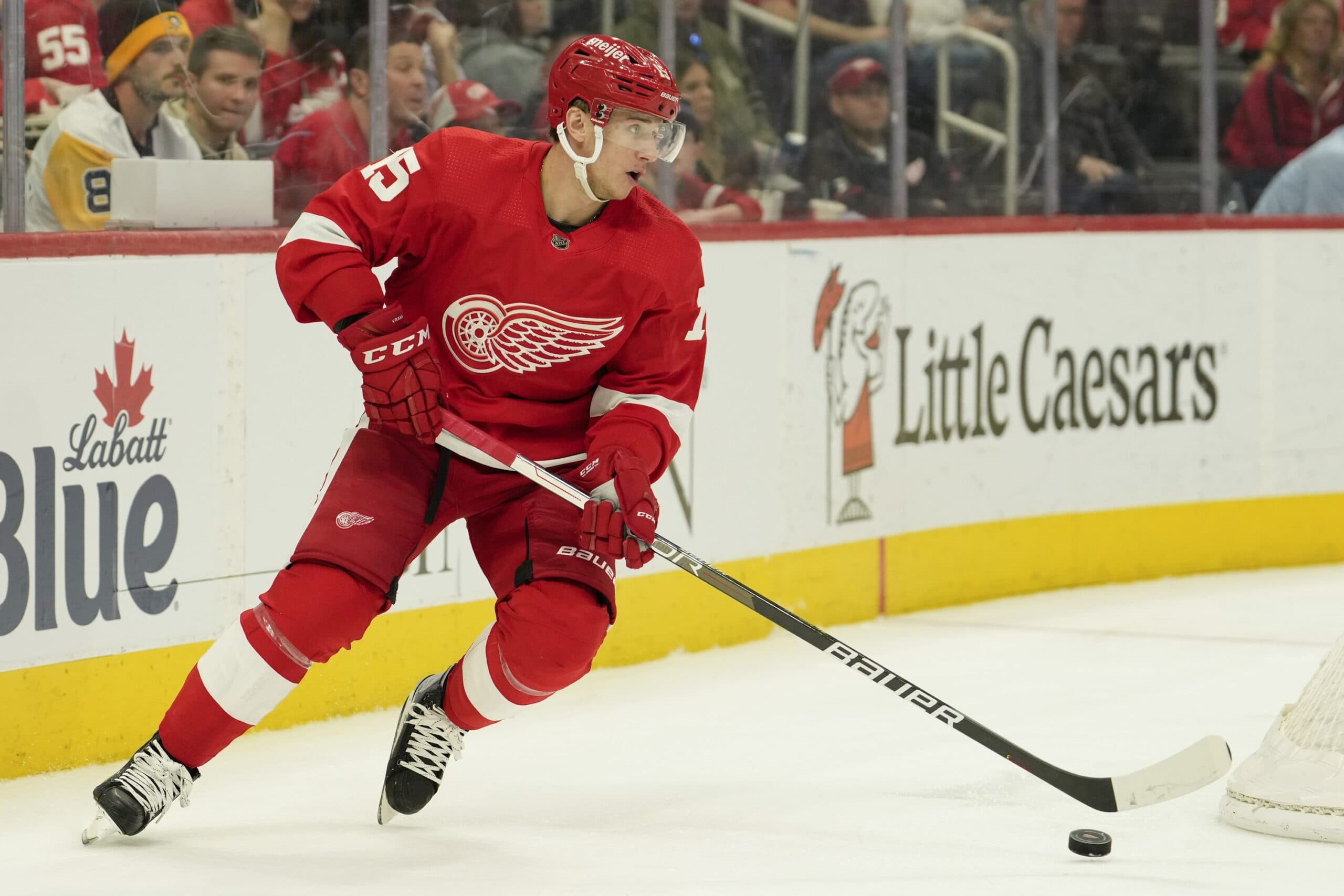 Jakub Vrana to enter the NHL/NHLPA Player Assistance Program