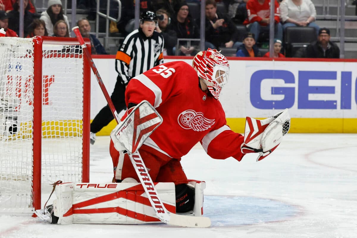Ducks acquire Ville Husso from Red Wings for future considerations