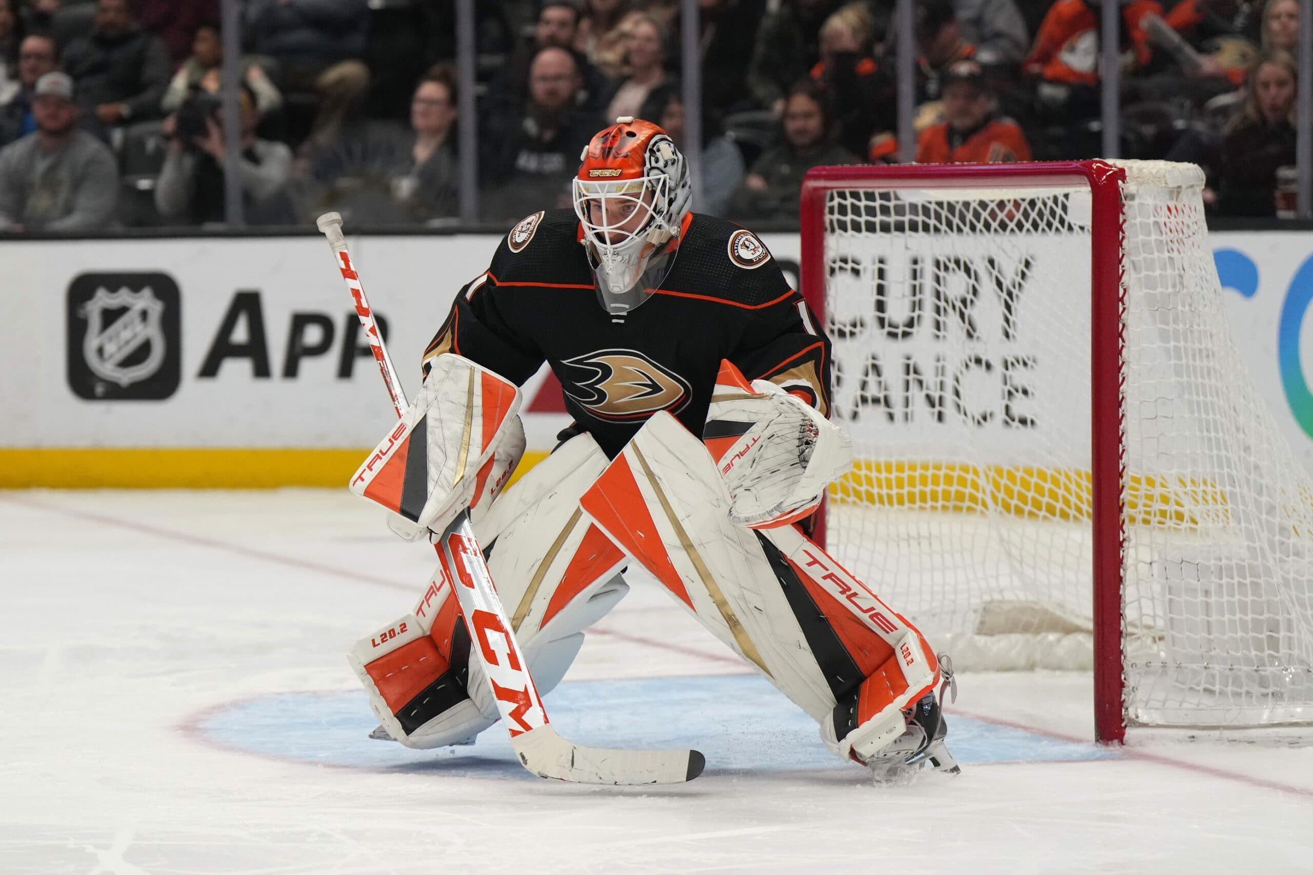 Anaheim Ducks sign Lukas Dostal to two-year contract