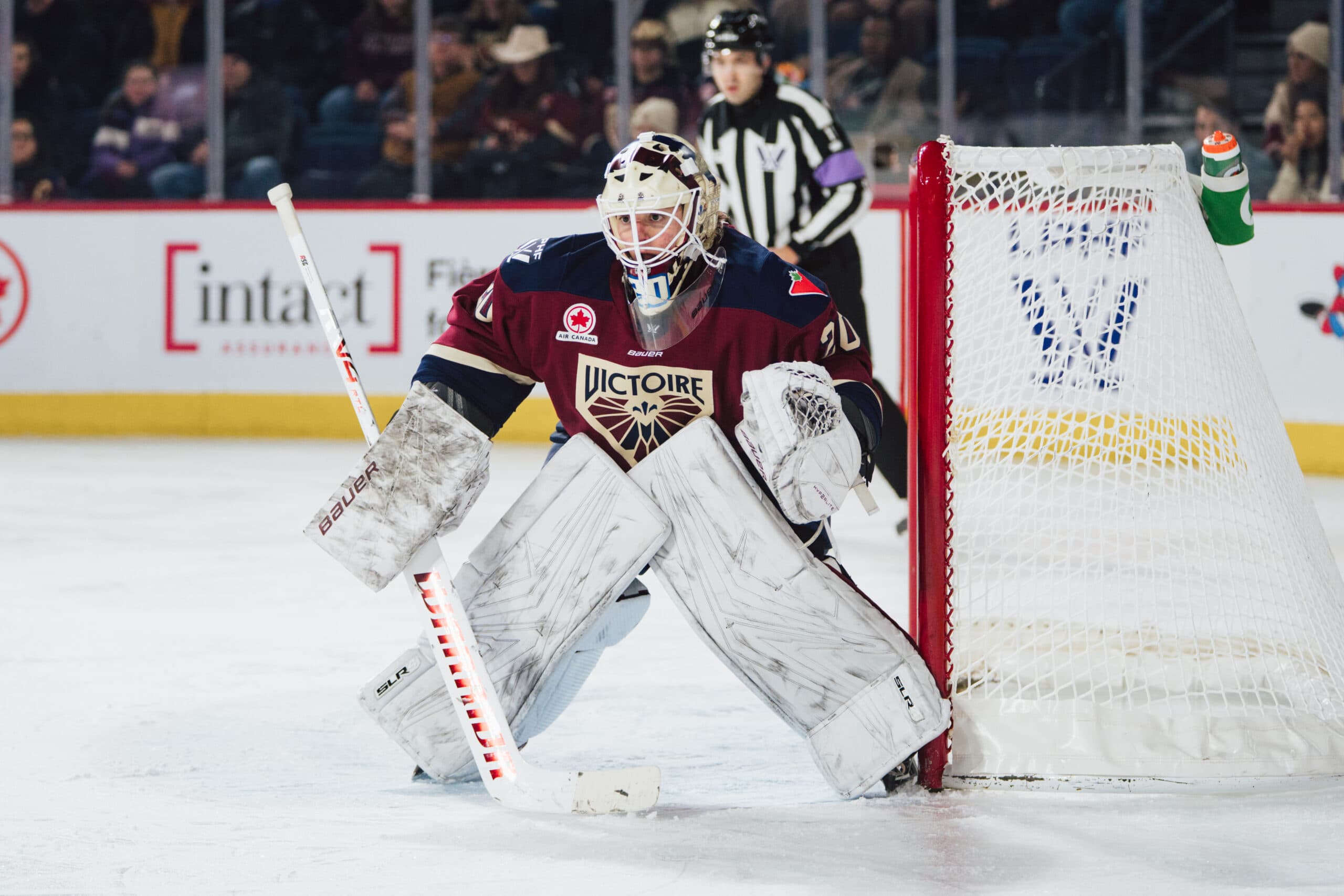 Sceptres sign Elaine Chuli, Claire Dalton to one-year contracts