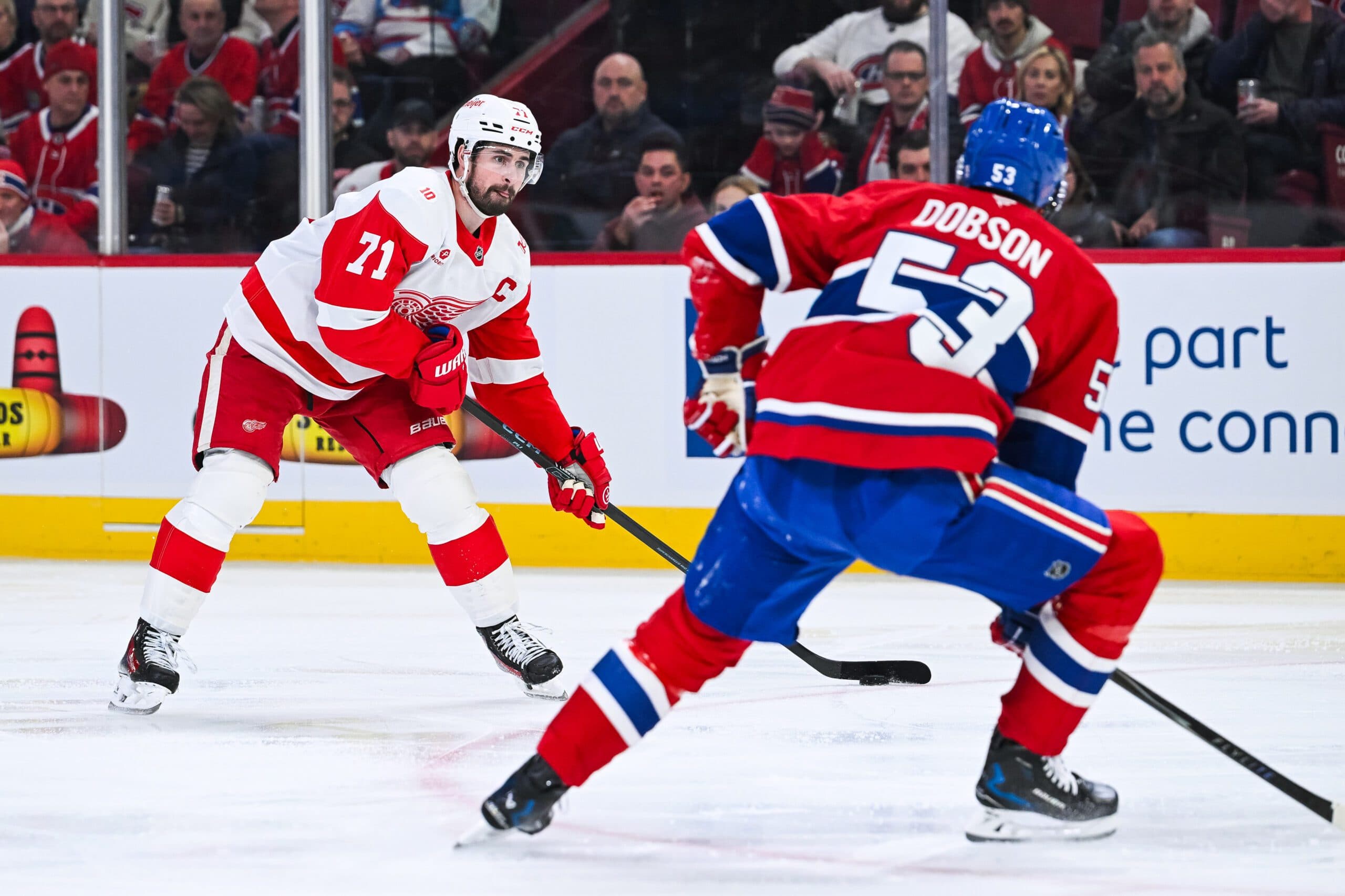 Dylan Larkin and Noah Dobson